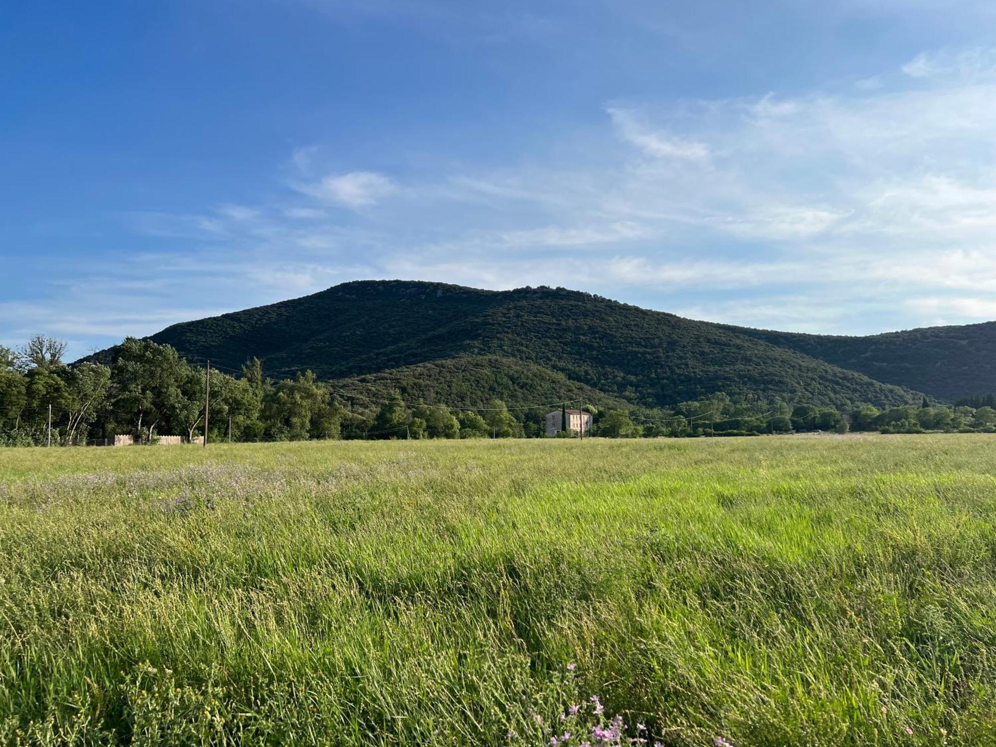 Mas Grenadine, Magnifique Villa Du Piemont Cevenol Sauve Zewnętrze zdjęcie